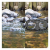 SmallRig 6688 - zestaw, 4x filtr (szary ND16-128, polaryzacyjny CPL) do Insta360 Luna Ultra - porównanie: z filtrem vs. bez filtra